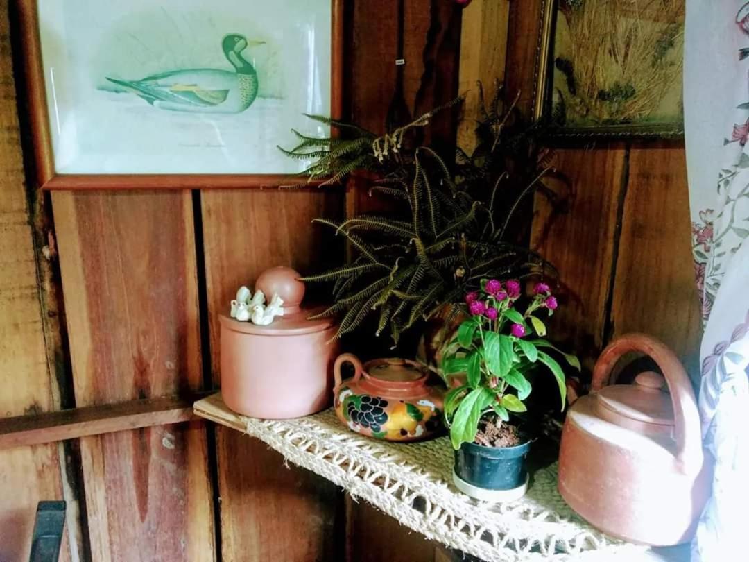Willa Cabana Rustica Calabresi Osorio Zewnętrze zdjęcie